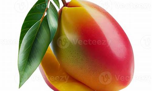 mangos 源码论坛